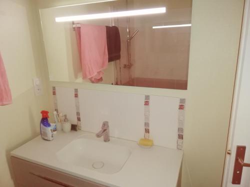 een badkamer met een wastafel en een spiegel bij Le Grand Feuvrier in Dole