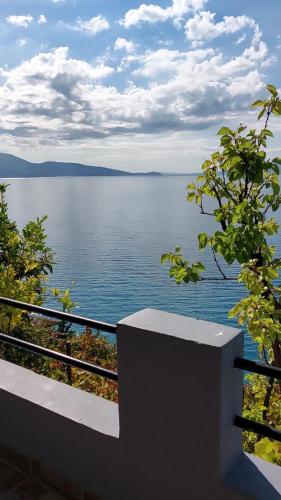 a view of a large body of water at Blue View in Qeparo