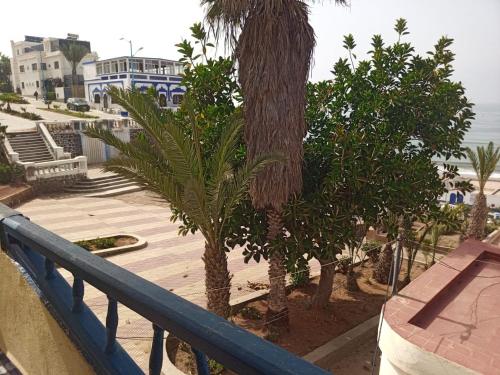 a balcony with a palm tree and a blue railing at Suerte Loca in Sidi Ifni