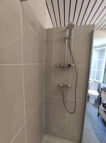 une cabine de douche dans une salle de bain avec toilettes dans l'établissement Coeur d'Aix, vue splendide et cachet, à Aix-les-Bains