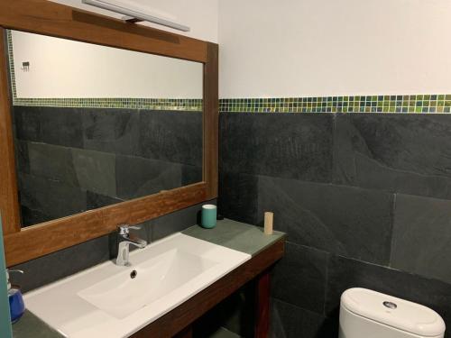 een badkamer met een wastafel, een spiegel en een toilet bij Tranquilidad y Naturaleza. Entre Volcanes y Mar in Presillas Bajas