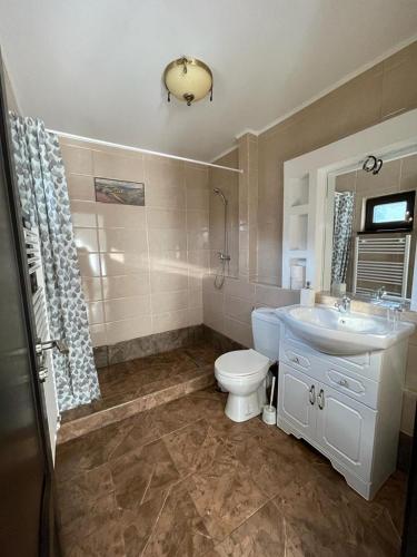 a bathroom with a sink and a toilet at Poarta Craiului in Şirnea
