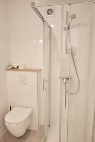 a white bathroom with a toilet and a shower at Guest House Marija in Bol