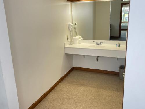 a bathroom with a sink and a mirror at Farmstead Inn and Conference Center in Shipshewana