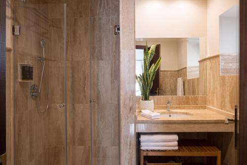 a bathroom with a shower and a sink at Puerta Catedral Apartments in Seville