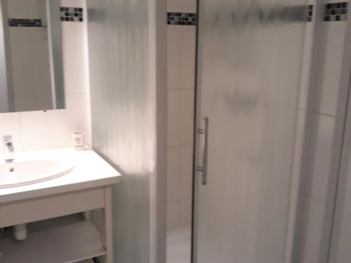 une salle de bain avec douche et lavabo dans l'établissement Appartement 2 étoiles à 5 min des thermes avec parking et clim, animaux acceptés - FR-1-503-129, à Balaruc-les-Bains