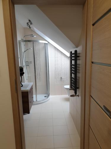 a bathroom with a shower and a sink and a toilet at VILLA MILA Apartamenty in Karpacz