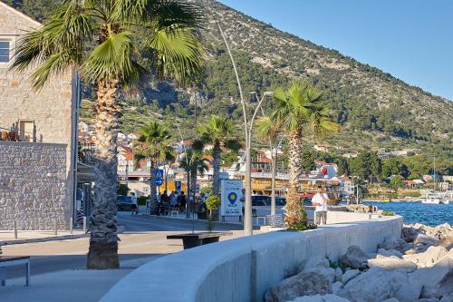 a group of palm trees next to a body of water at Guest House Marija in Bol