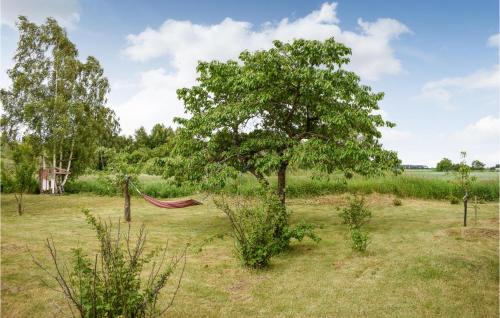 a hammock in a field with a tree at 3 Bedroom Beautiful Home In Fjälkinge in Fjälkinge