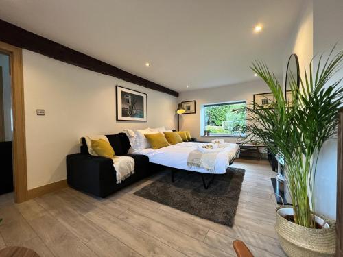 a living room with a bed and a couch at Ty Gwyn Holiday Cottage - Llanbedr Dyffryn Clwyd - Ruthin in Llabedr-Dyffryn-Clwyd