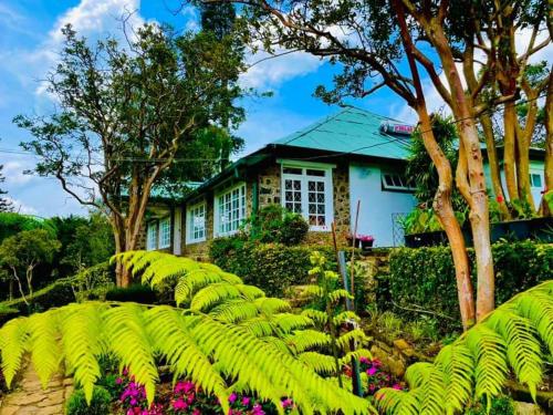 ein Haus mit einem Garten mit Pflanzen und Blumen in der Unterkunft BloomsDale Country House in Haputale