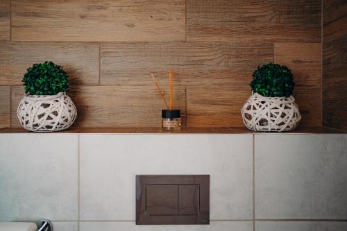 ドゥシュニキ・ズドルイにあるJeleni Jar Apartamentyのギャラリーの写真