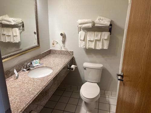 a bathroom with a toilet and a sink and a mirror at Quality Inn & Suites in Rosemount