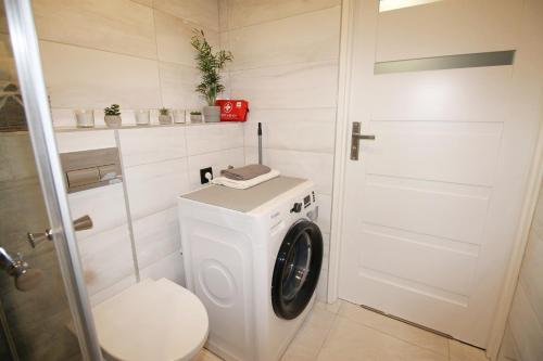 a bathroom with a washing machine and a toilet at Apartament Dzikowiec in Boguszów-Gorce