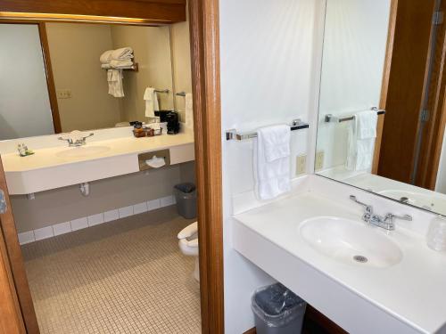 a bathroom with a sink and a mirror at Farmstead Inn and Conference Center in Shipshewana
