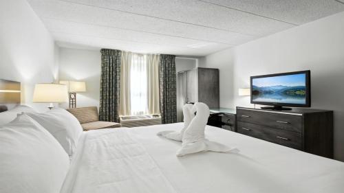 Un pat sau paturi într-o cameră la Holiday Inn Express Williamsburg North, an IHG Hotel