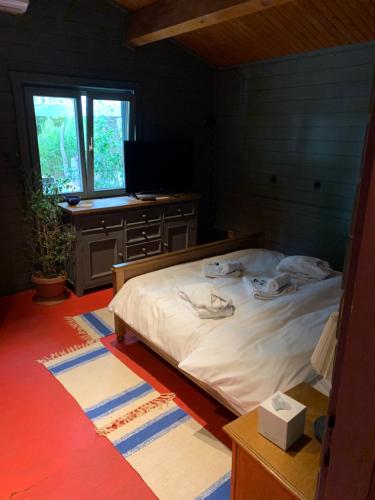 1 dormitorio con 1 cama y escritorio con TV en Enpi Lake Resort, en Iaşi