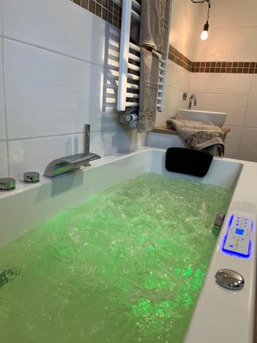 een bad gevuld met groen water naast een wastafel bij Bei der Kahnfährfrau... NEU ERSTVERMIETUNG in Lübben