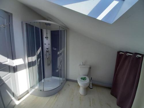 Un baño con ducha de cristal y un inodoro. en gîte paisible en pleine nature, en Lolme