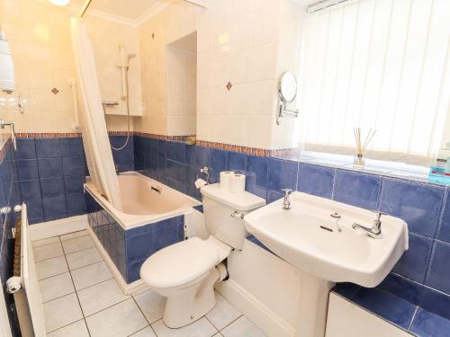 a bathroom with a toilet and a sink and a tub at Scotch Hall Cottage in Llangollen