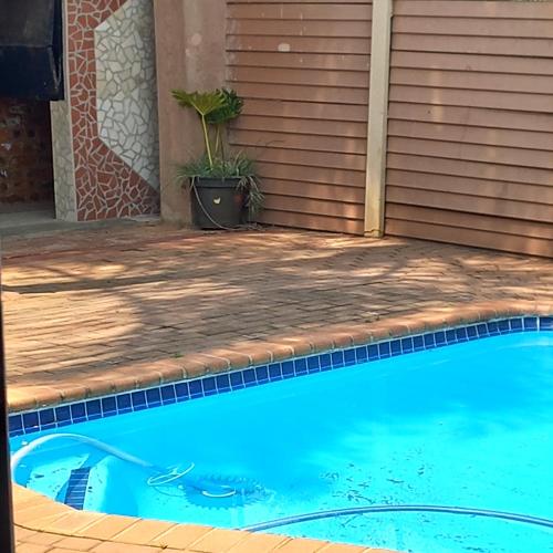 a swimming pool with a plant next to a house at Lime Court Four in Pretoria