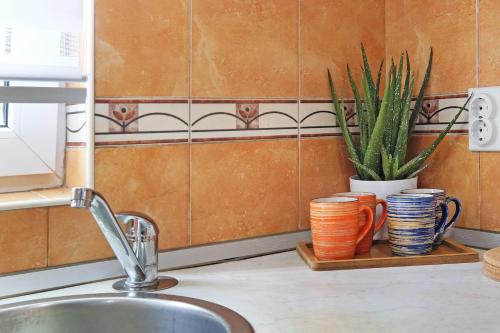un bancone della cucina con tazze e una pianta su uno scaffale di Lion Apartment - Belgrade a Belgrado