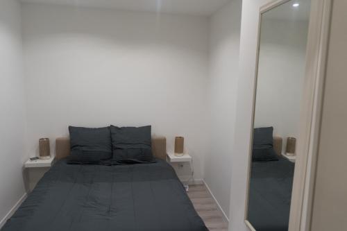 a bedroom with a bed and a large mirror at Charmant appartement 2 pièces in Valence