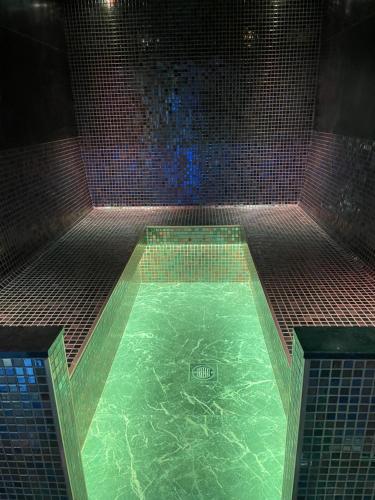 a pool of water in a shower in a room at Ashbys Deluxe Studios & Spa hire in Portsmouth