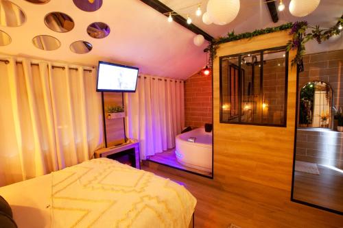 uma casa de banho com uma banheira e uma televisão e uma banheira em Love Room Romantique Les Petits Plaisirs em Angers