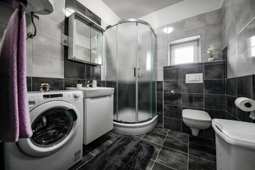Gallery image of Apartments Joso in Rtina