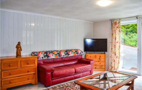 - un salon avec un canapé en cuir rouge et une télévision dans l'établissement Awesome Apartment In Chambornay-Lès-Pin, à Chambornay-lès-Pin