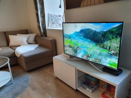 y TV de pantalla plana en una sala de estar. en Studio w centrum miasta Holmestrand, Norwegia, en Holmestrand