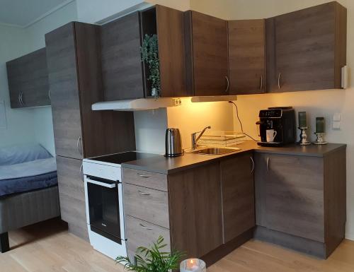 una pequeña cocina con armarios de madera y fregadero en Studio w centrum miasta Holmestrand, Norwegia, en Holmestrand