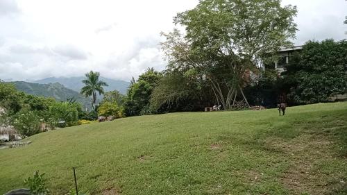 Gallery image of Hostal finca Palermo in Santa Fe de Antioquia