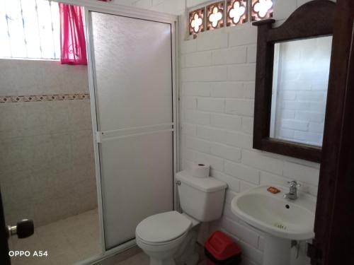 ein Bad mit einem WC, einer Dusche und einem Waschbecken in der Unterkunft Hostal finca Palermo in Santa Fe de Antioquia