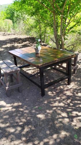 una mesa de picnic con una maceta y un banco en Aguaribay cabañas en San Javier