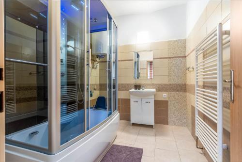 een badkamer met een douche en een wastafel bij Za řekou in Mladé Buky