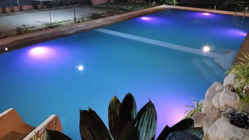 une piscine avec des lumières bleues dans une arrière-cour ornée de plantes dans l'établissement YUMIYAMI FARM AND RESORT, 