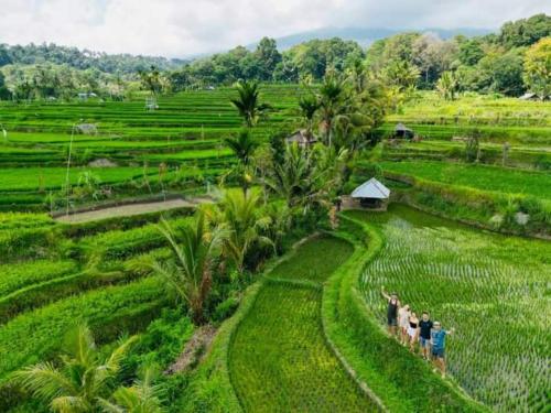 a group of people standing in a green field at Bukit Senaru Homestay in Senaru