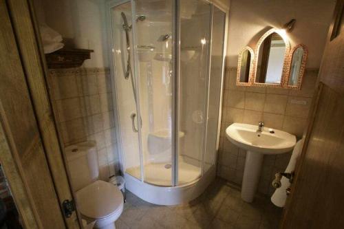uma casa de banho com um chuveiro, um WC e um lavatório. em Apartamento Rural El Labrador es un cómodo y acogedor apartamento em Cabezas Bajas