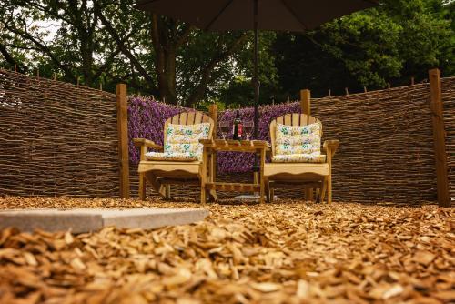 two chairs and an umbrella in a pile of leaves at The Pheasant Hotel, Holt, Norfolk - The Coaching Inn Group in Kelling