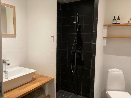Koupelna v ubytování jygge- hyggelige Ferienwohnung