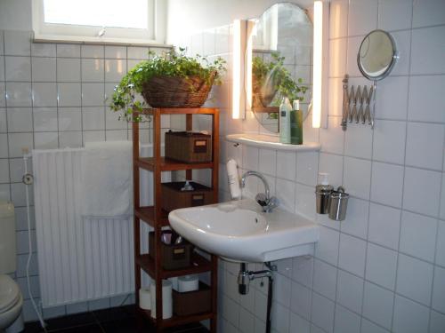 a bathroom with a sink and a mirror at Bed & Breakfast de Echo in Muiderberg