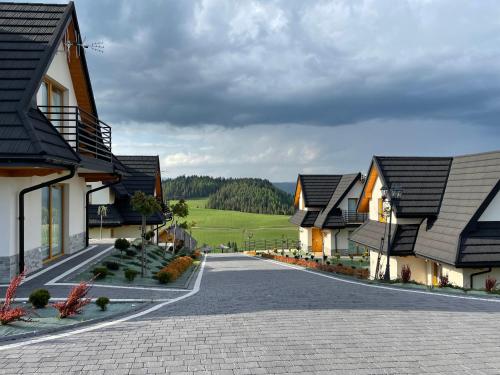 a cobblestone street in a village with houses at Domki Sówka in Dursztyn