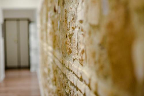 EMA FLAT in Trastevere photo 44