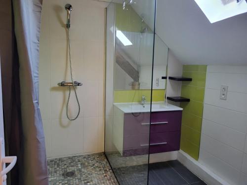 een badkamer met een douche en een wastafel bij Mas de Guinot in Villeneuve