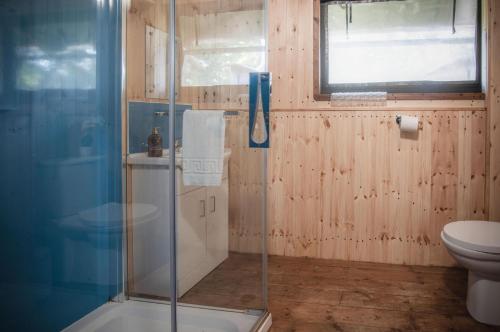 a bathroom with a shower and a toilet at Three Cliffs - Safari Glamping Tent - Llangennith in Llangennith