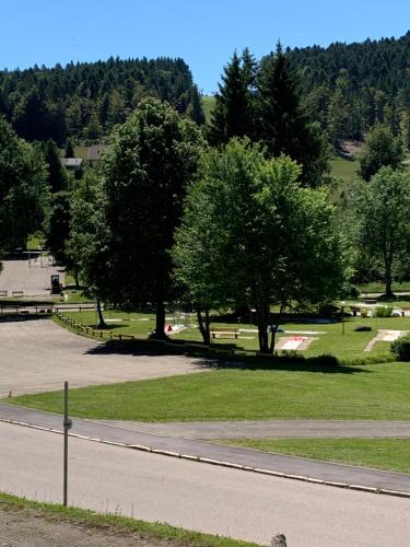 un parco con alberi, un marciapiede e una strada di Black Forest a Herrischried