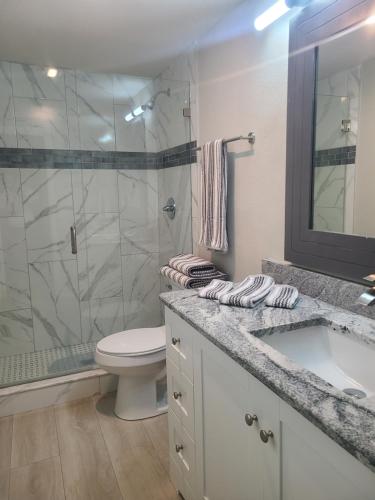 a bathroom with a shower and a toilet and a sink at Diamond 4 in Tampa
