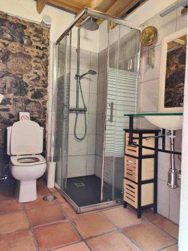 a bathroom with a shower and a toilet and a sink at Casa Panama in Hermigua